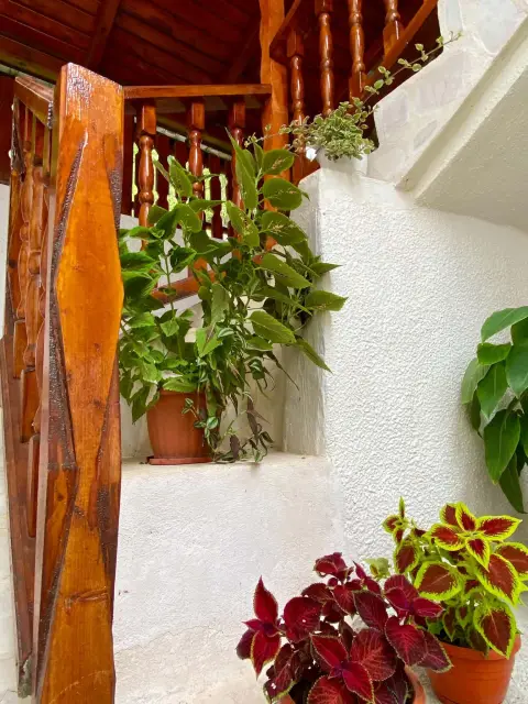 Exterior #7